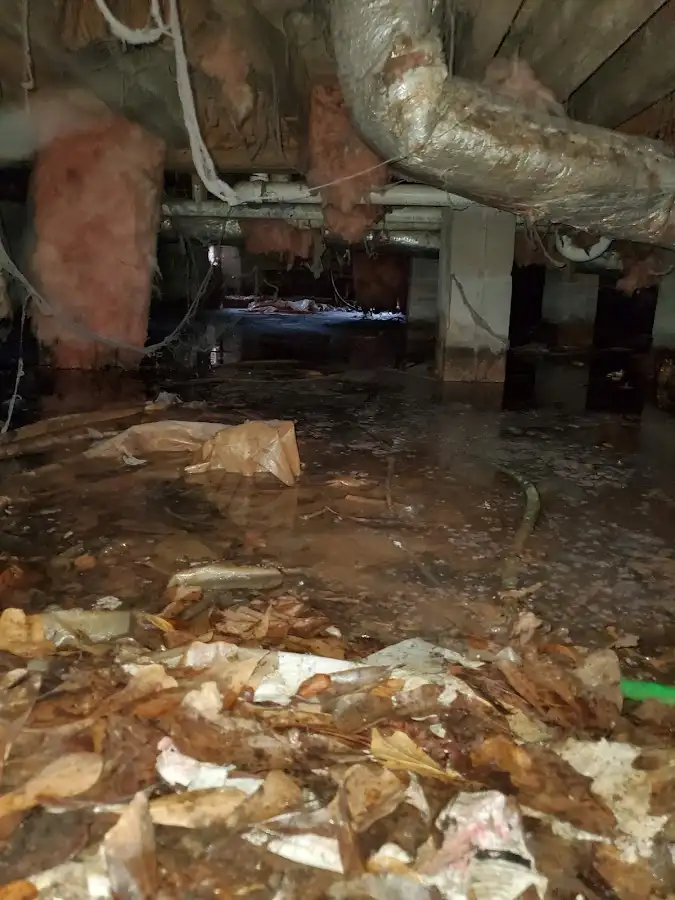 Crawl space flood assessment for Leak Detection & Repair in Melvindale