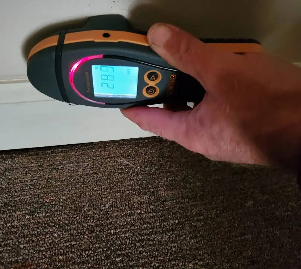 Moisture detection at baseboard during Burst Pipe Cleanup in Melvindale